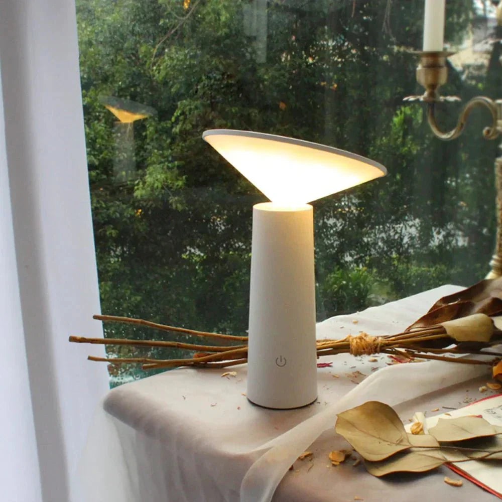 THE AURORA LAMP